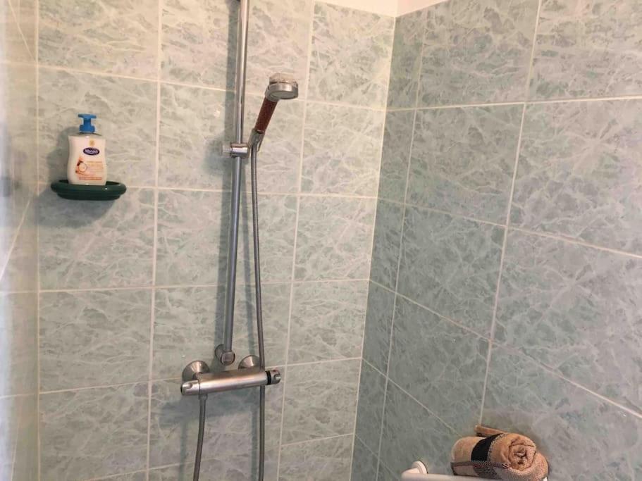 Appartement 55M2 En Beaujolais & Enedis A 15 Min Saint-Germain-Nuelles Екстер'єр фото